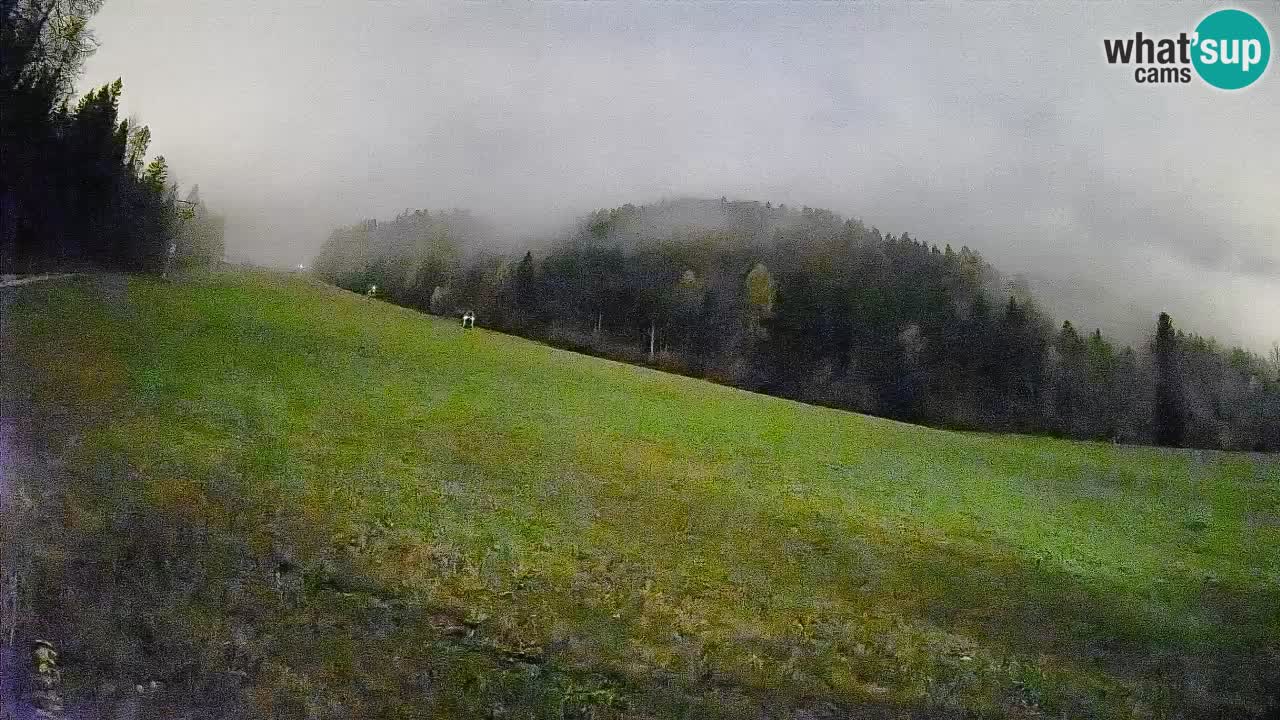 Comprensorio sciistico Kranjska Gora | Brsnina