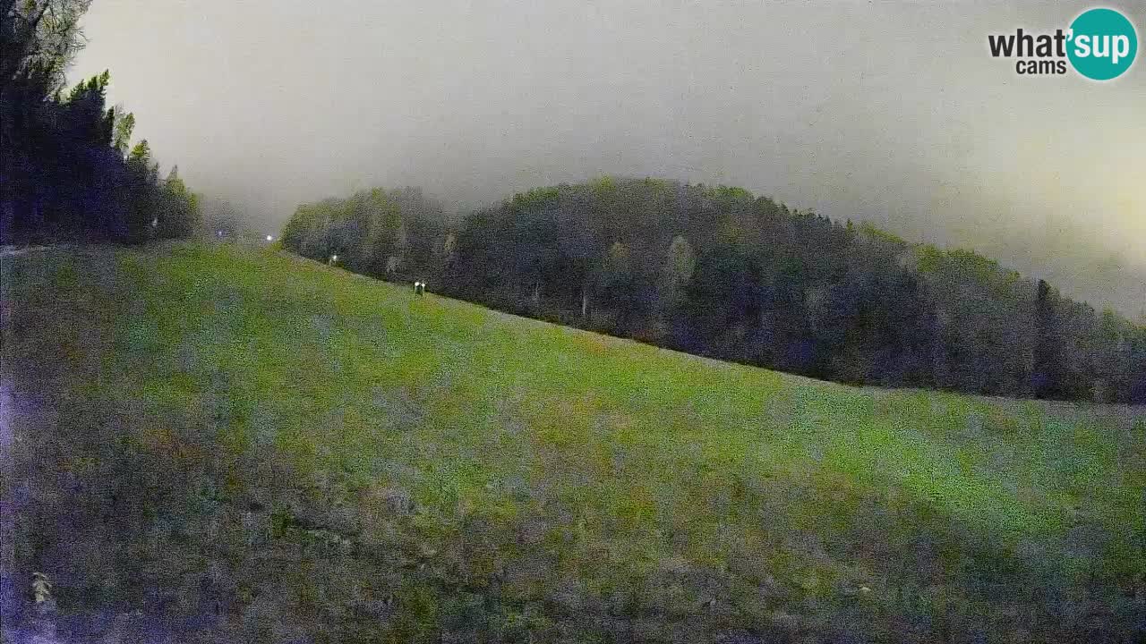 Esquí Kranjska Gora | Brsnina