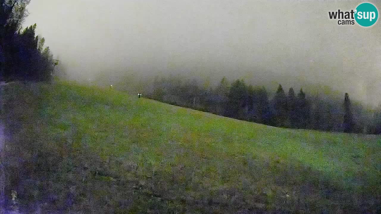 Ski Kranjska Gora | Brsnina