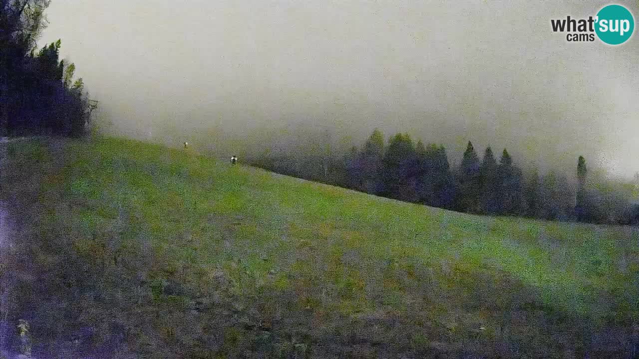 Comprensorio sciistico Kranjska Gora | Brsnina