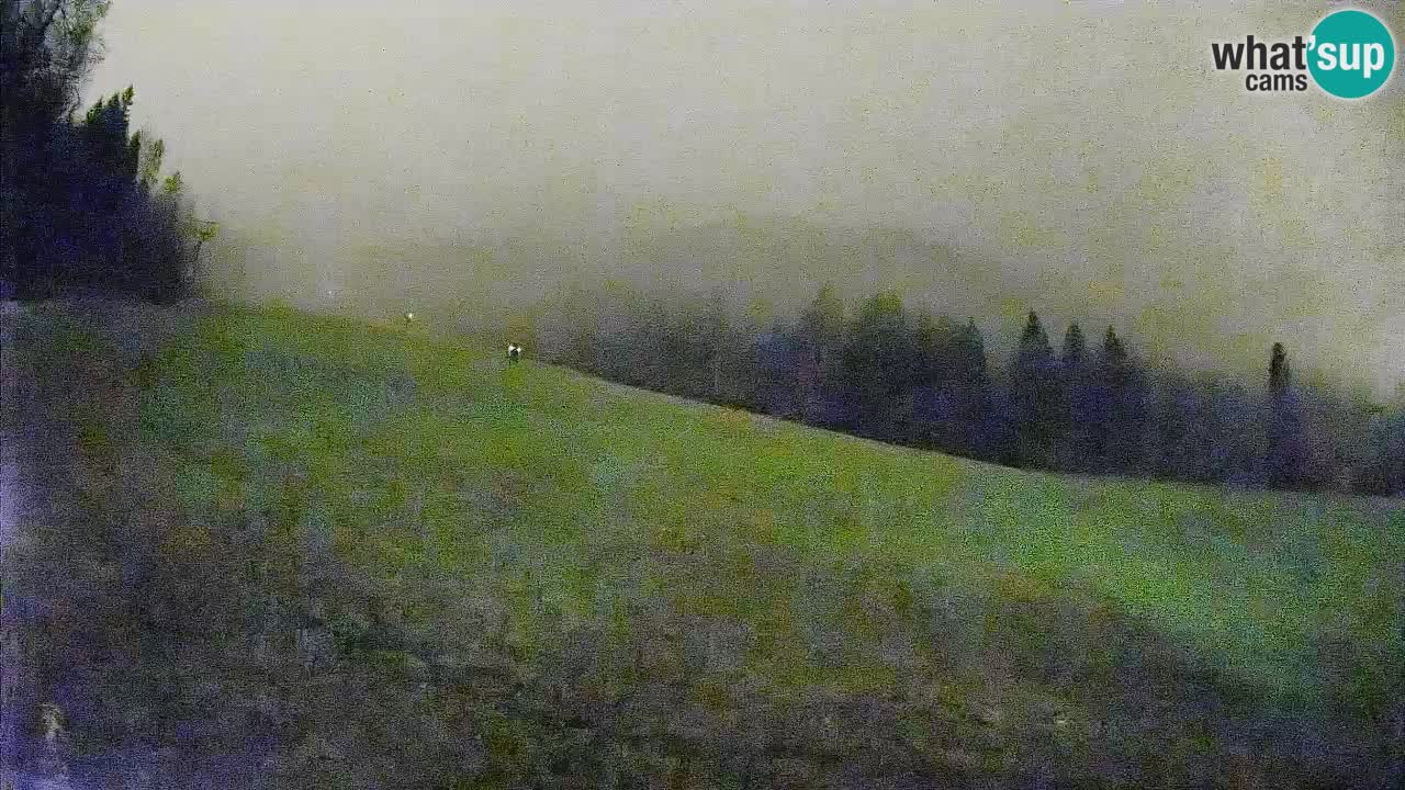 Kranjska Gora SKIJANJE | Brsnina