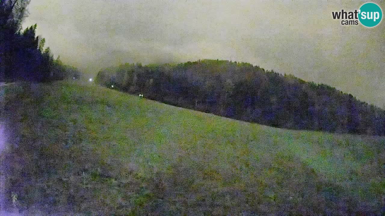 Ski Kranjska Gora | Brsnina