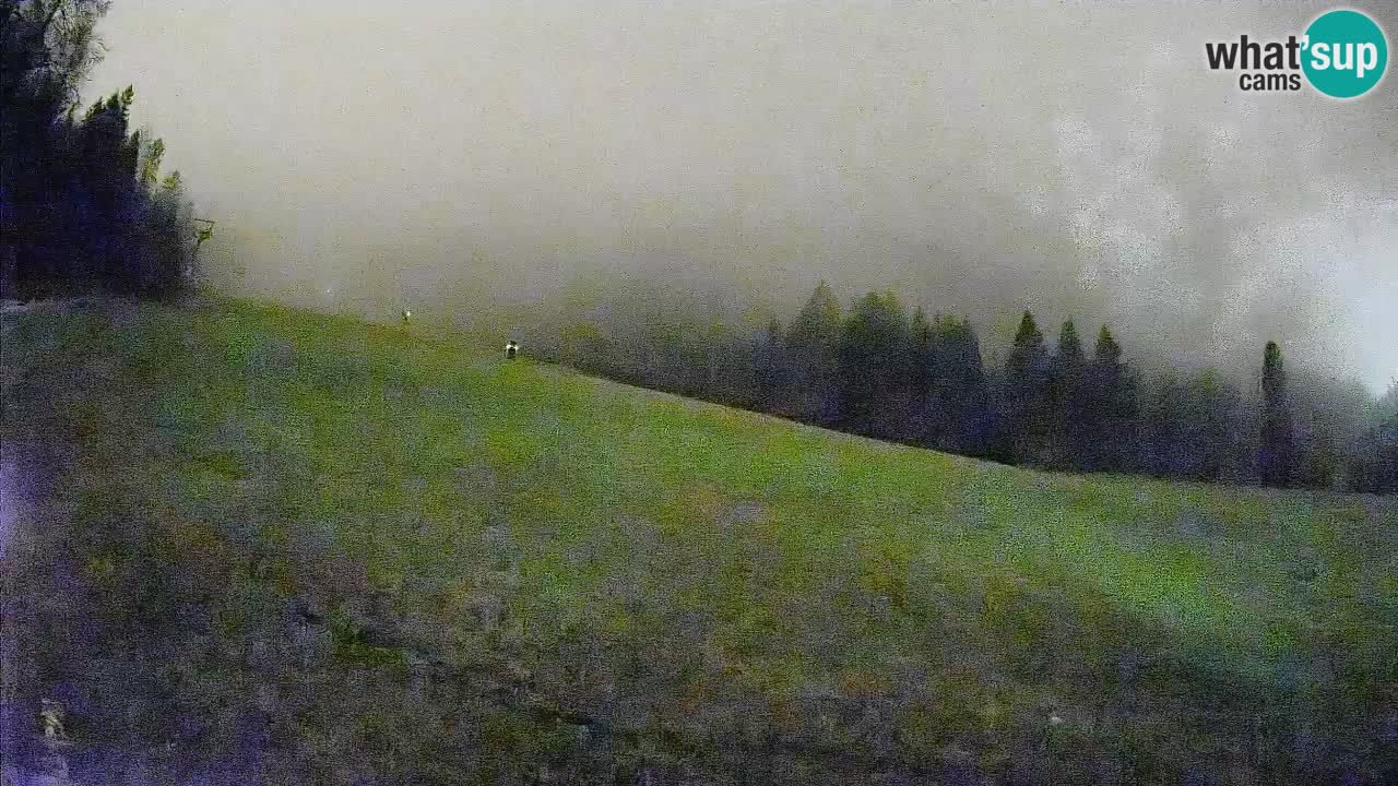 Ski Kranjska Gora | Brsnina