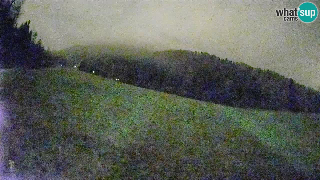 RTC Kranjska Gora | Brsnina