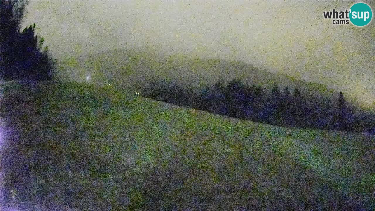 Esquí Kranjska Gora | Brsnina