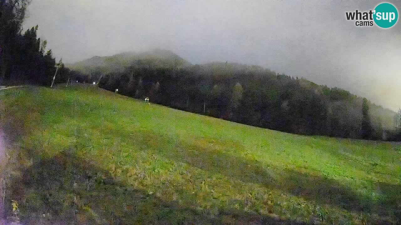 Kranjska Gora Station de ski | Brsnina