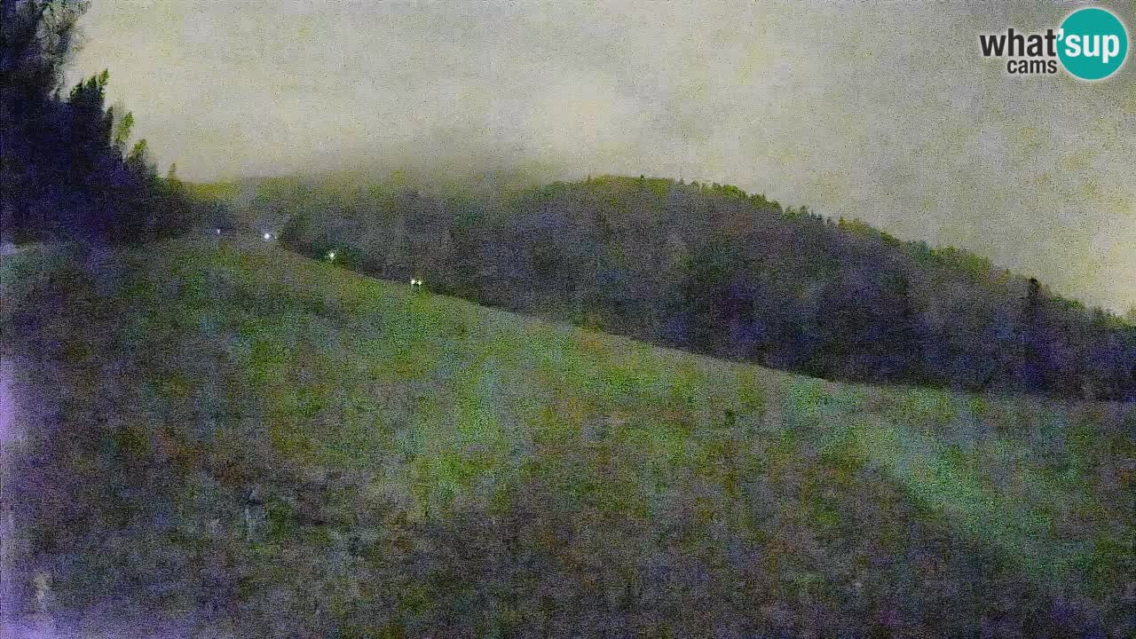 Ski Kranjska Gora | Brsnina