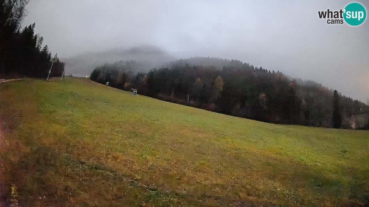 Ski Kranjska Gora | Brsnina