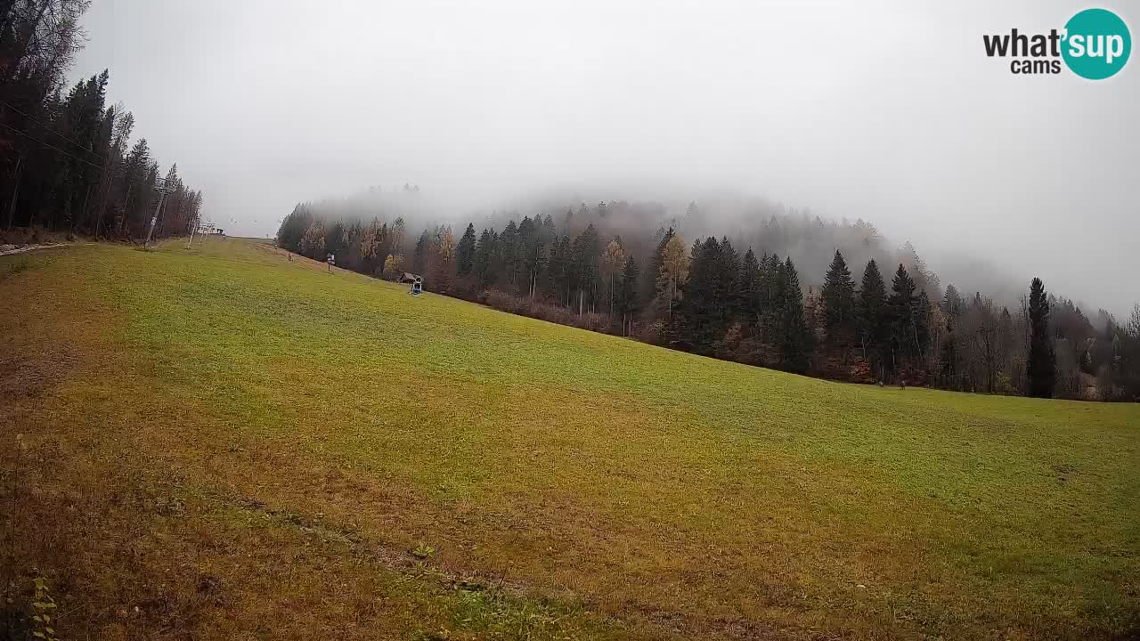 Esquí Kranjska Gora | Brsnina