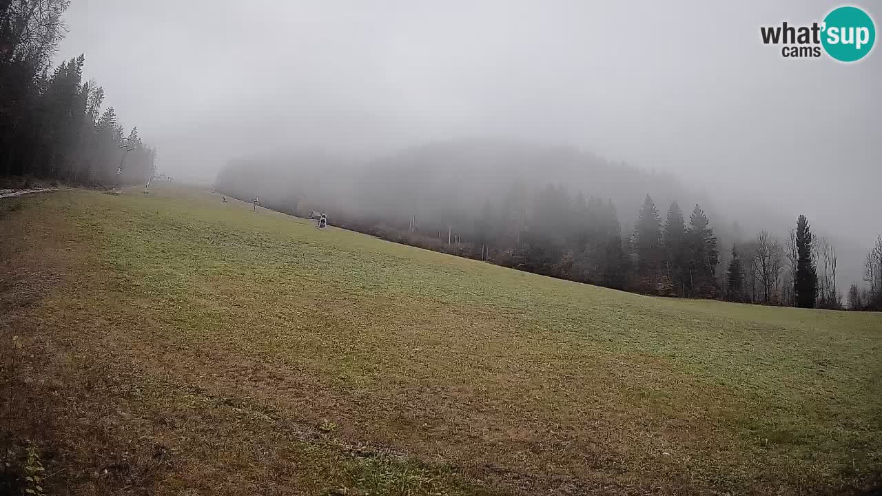Kranjska Gora Station de ski | Brsnina