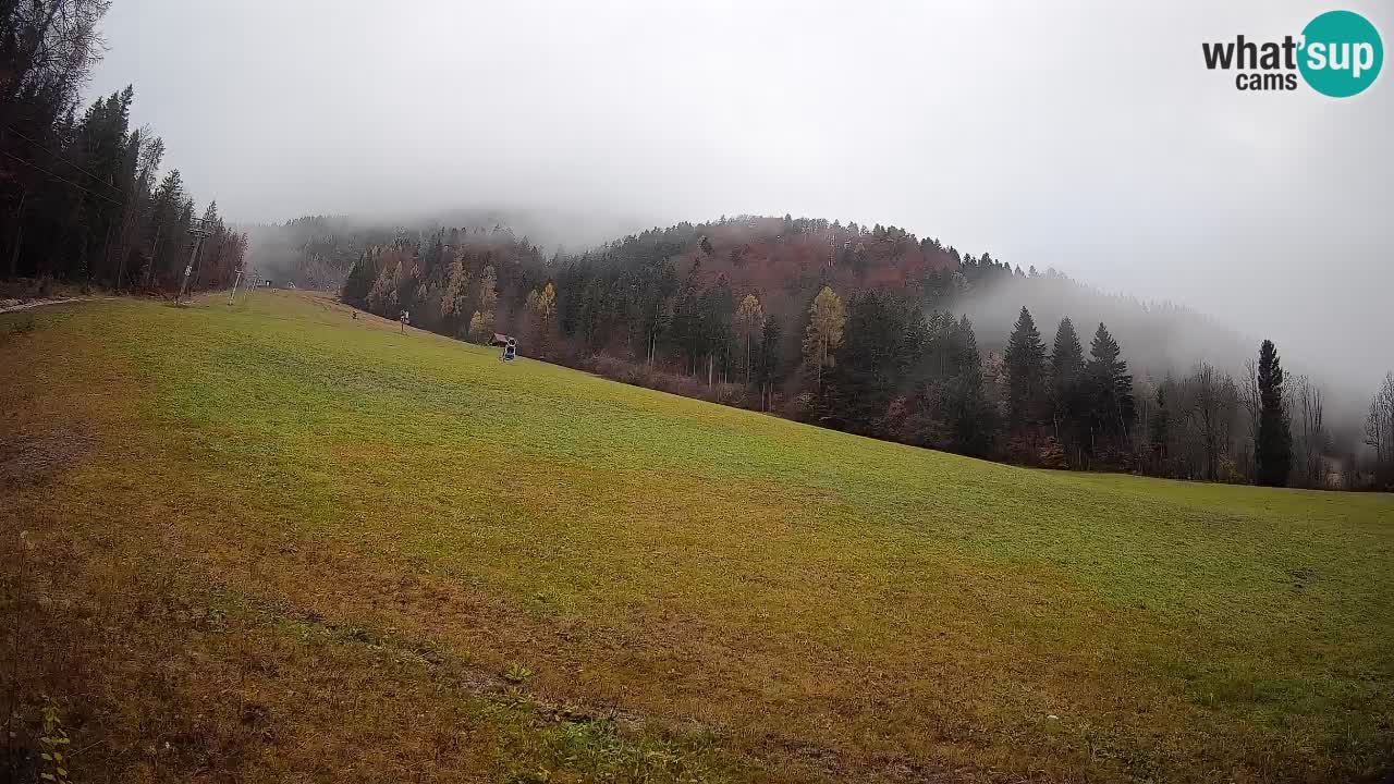 Esquí Kranjska Gora | Brsnina