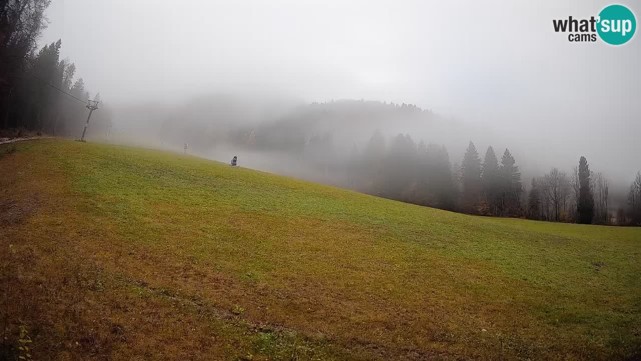 Comprensorio sciistico Kranjska Gora | Brsnina