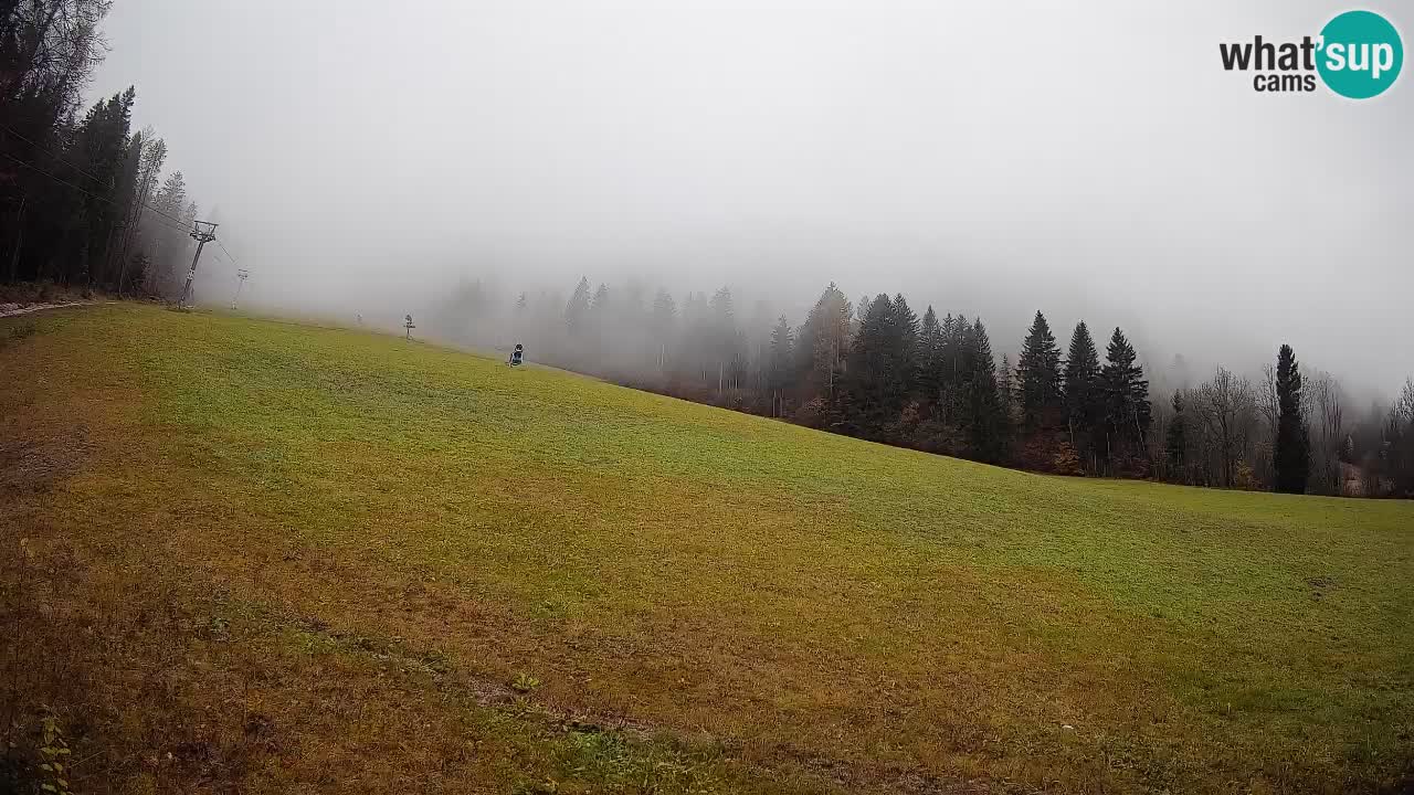 RTC Kranjska Gora | Brsnina