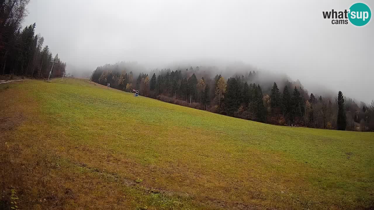 RTC Kranjska Gora | Brsnina