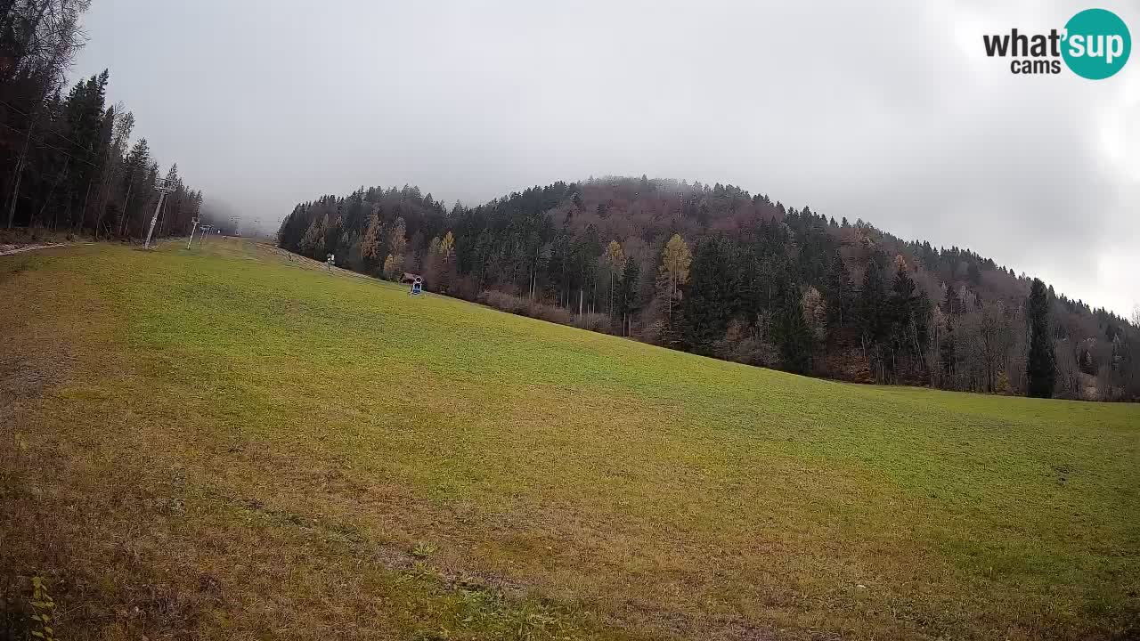 RTC Kranjska Gora | Brsnina