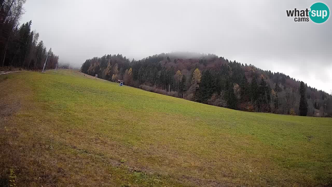 Ski Kranjska Gora | Brsnina