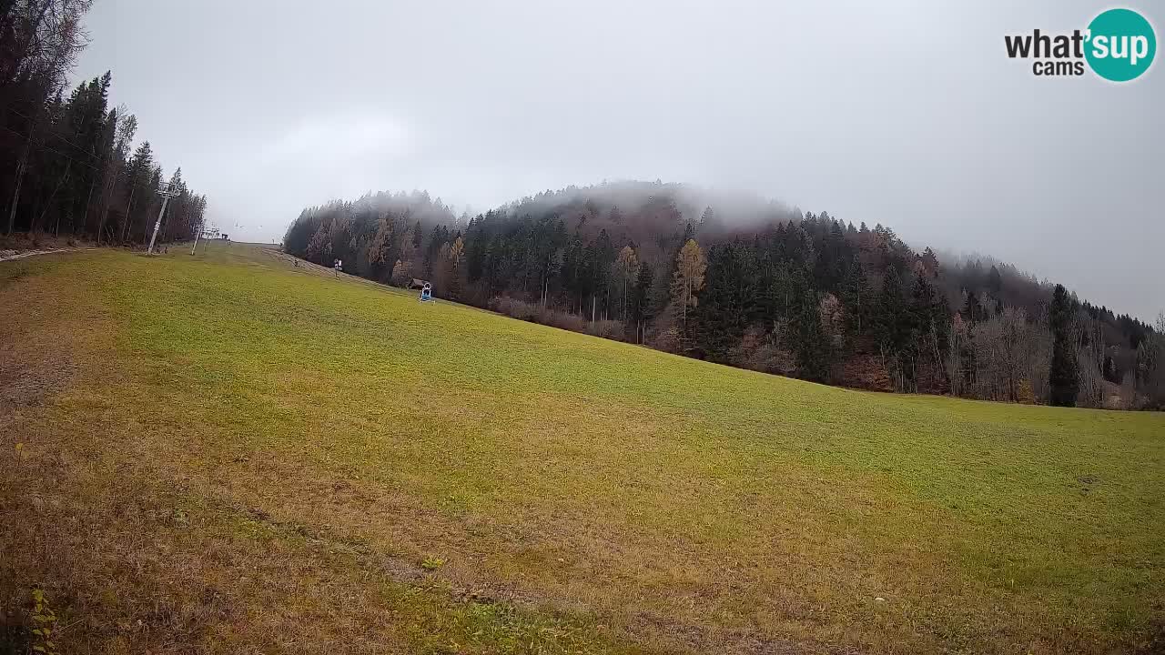 RTC Skigebiet Kranjska Gora | Brsnina