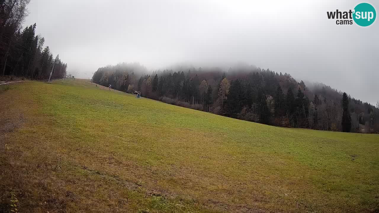 Comprensorio sciistico Kranjska Gora | Brsnina