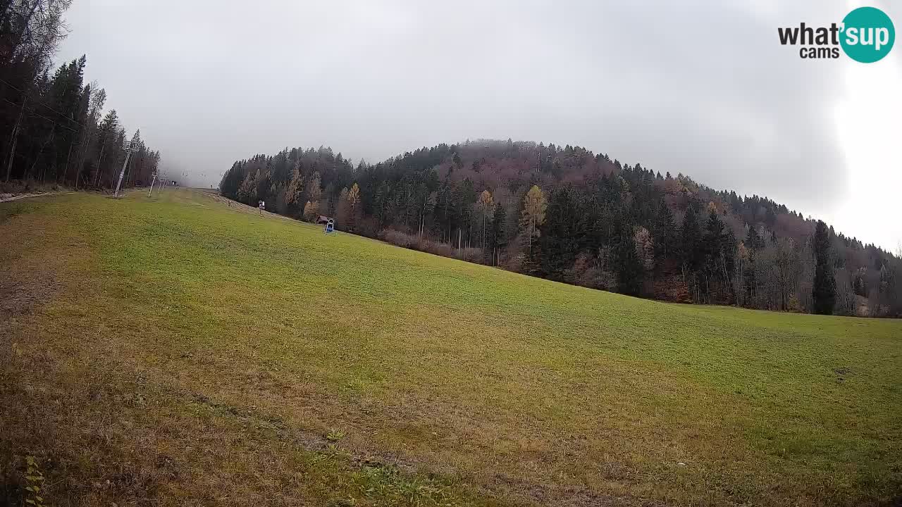 RTC Kranjska Gora | Brsnina