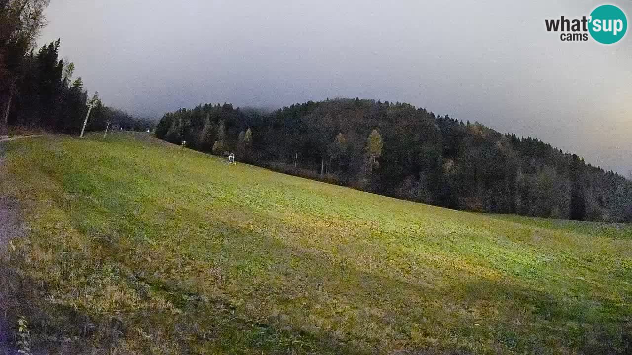 Ski Kranjska Gora | Brsnina