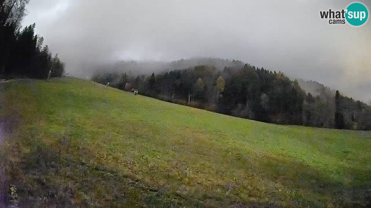 RTC Kranjska Gora | Brsnina