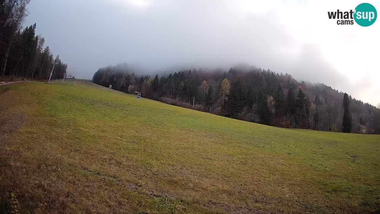 RTC Skigebiet Kranjska Gora | Brsnina