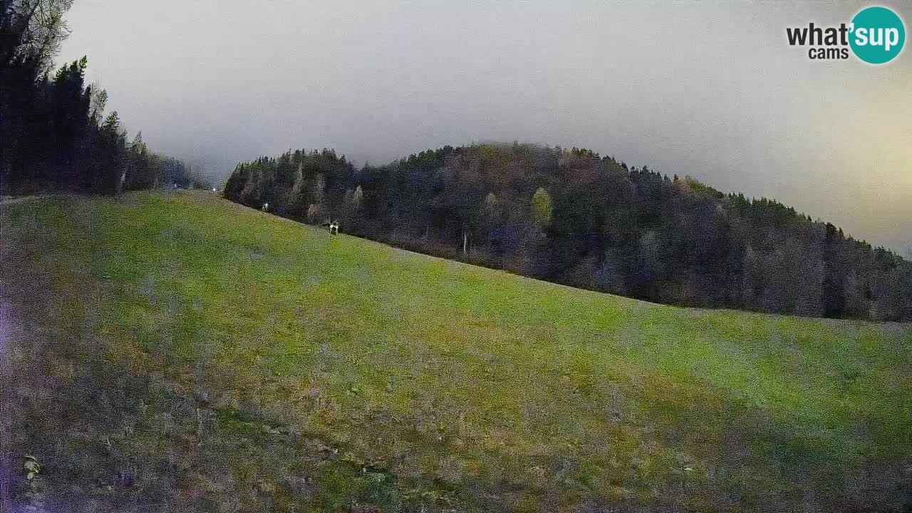 RTC Kranjska Gora | Brsnina