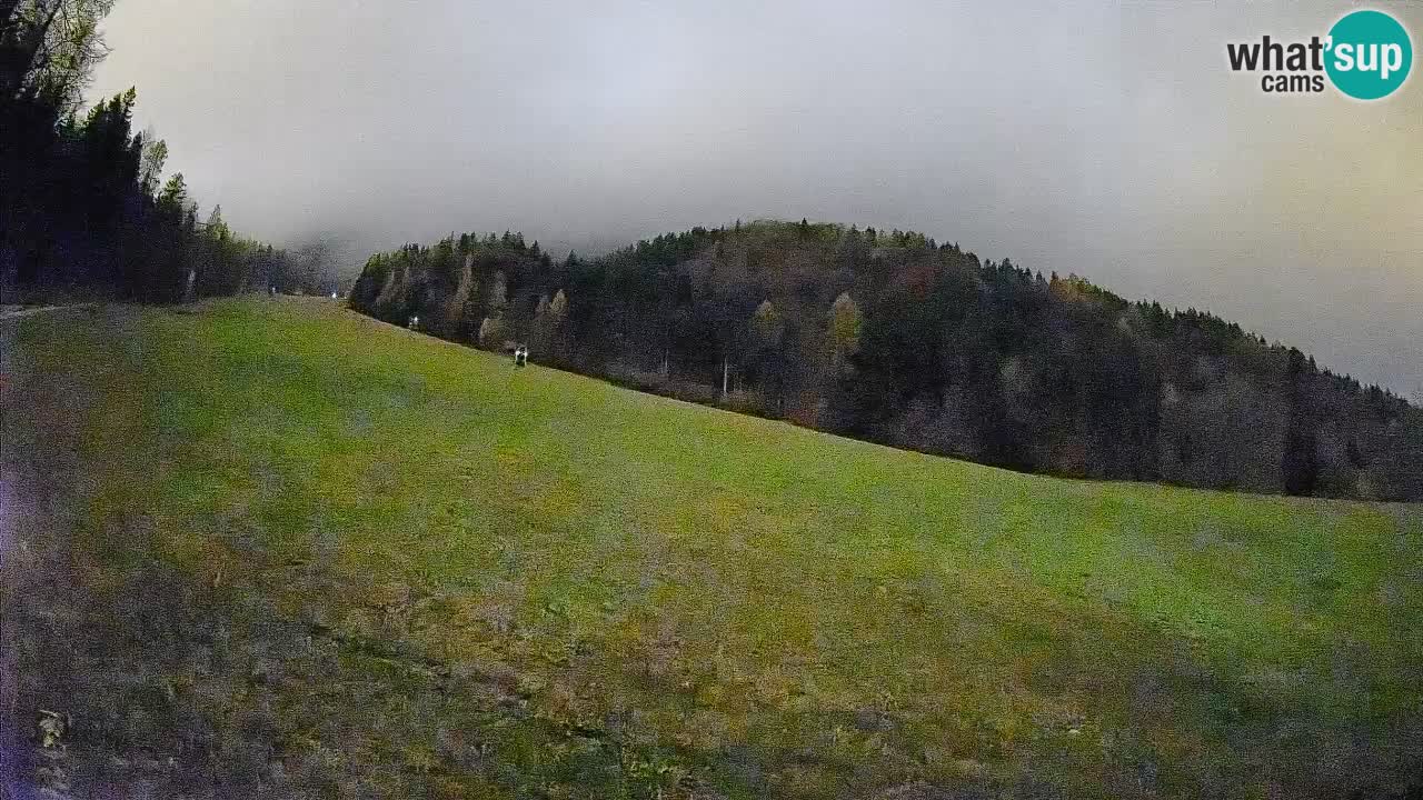 Ski Kranjska Gora | Brsnina