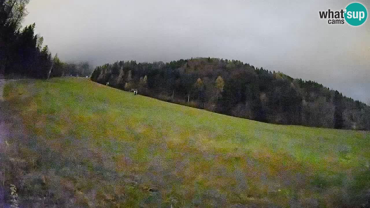 Kranjska Gora SKIJANJE | Brsnina