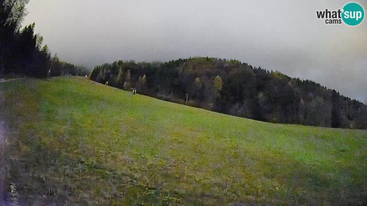 Esquí Kranjska Gora | Brsnina