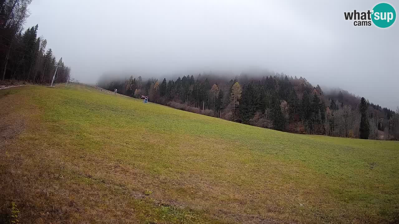 Esquí Kranjska Gora | Brsnina