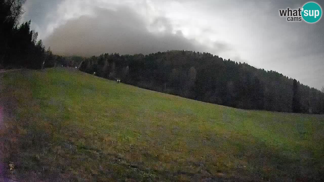 Kranjska Gora Station de ski | Brsnina