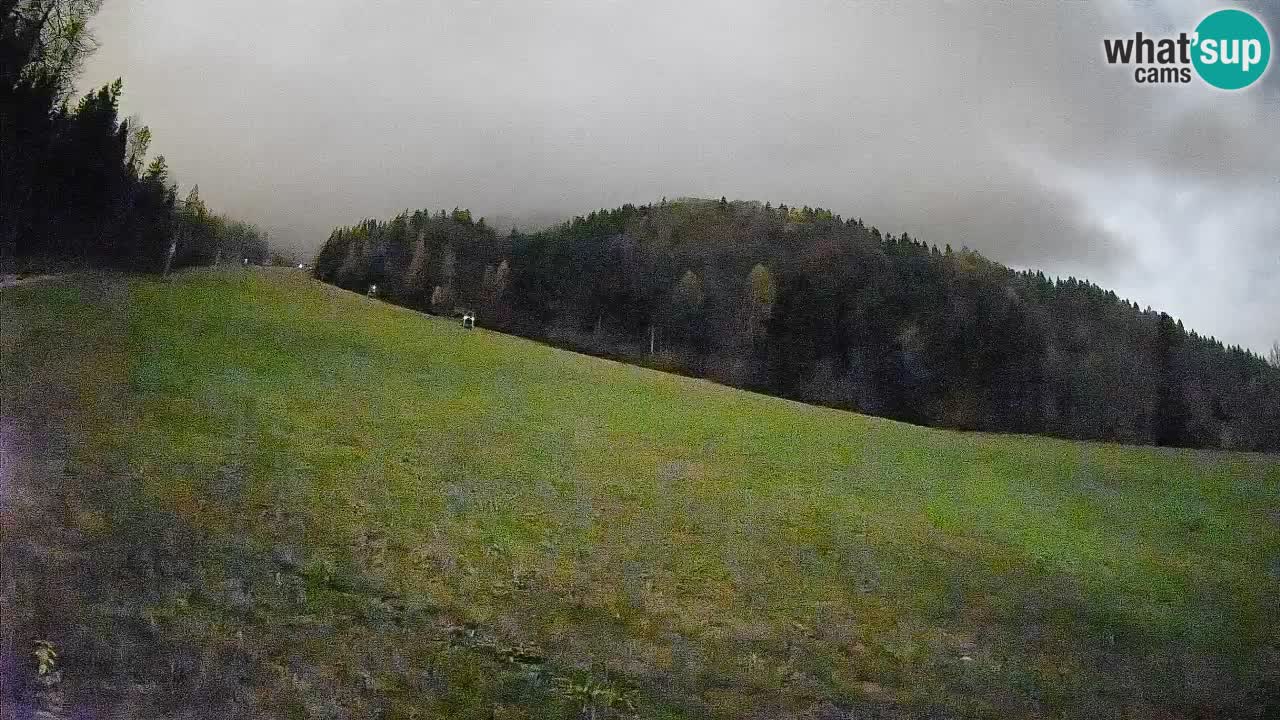 Ski Kranjska Gora | Brsnina