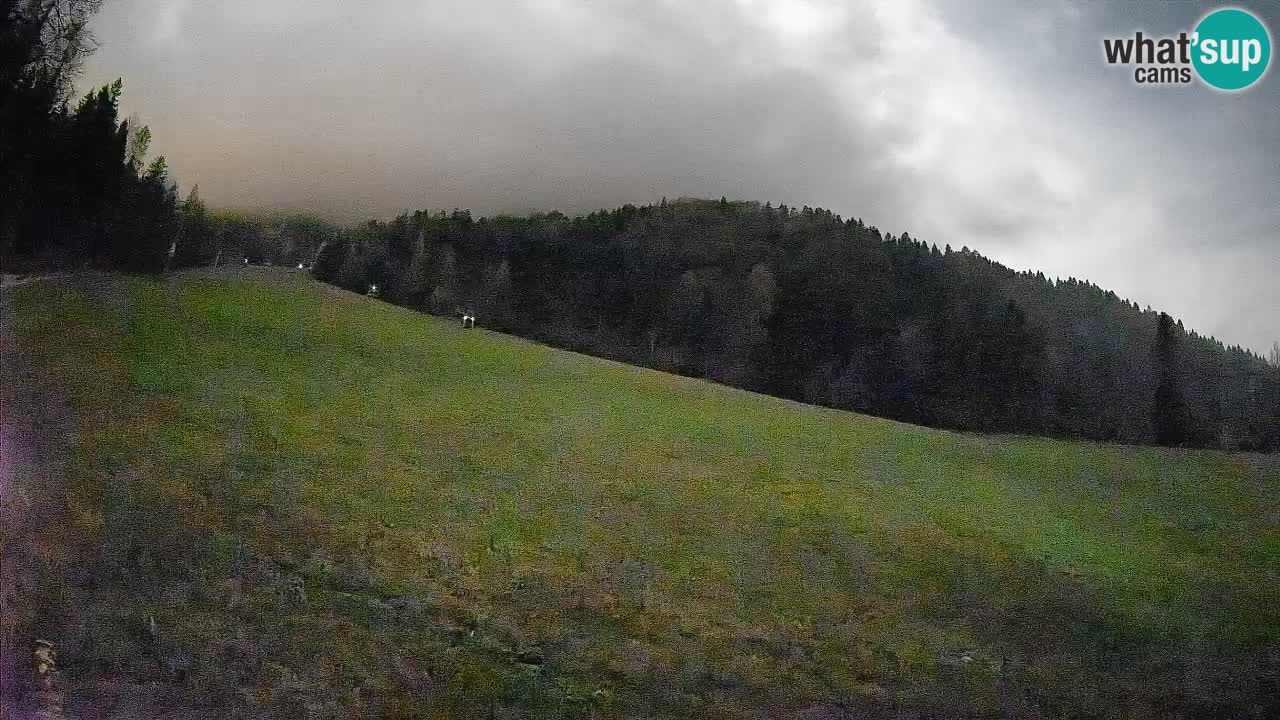 RTC Skigebiet Kranjska Gora | Brsnina