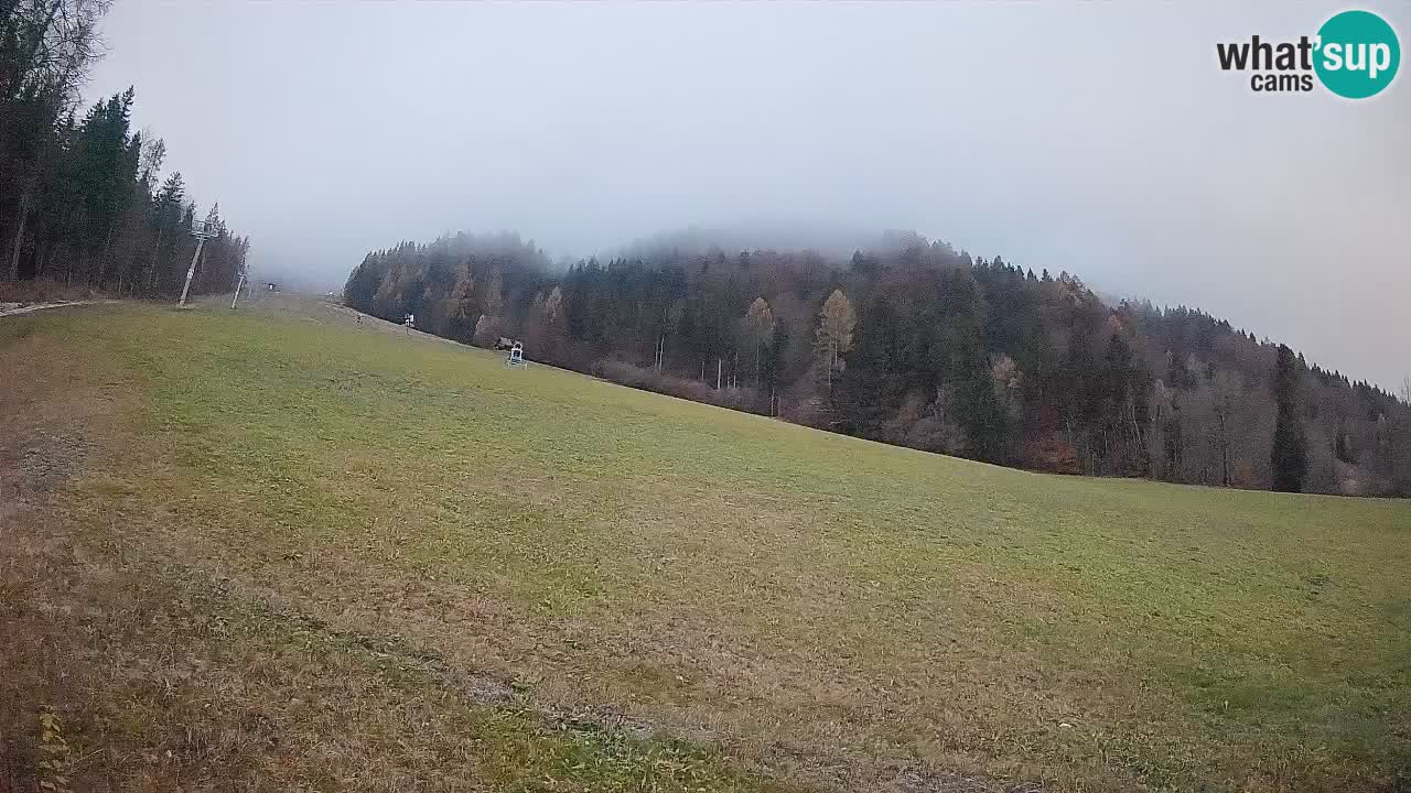 RTC Skigebiet Kranjska Gora | Brsnina