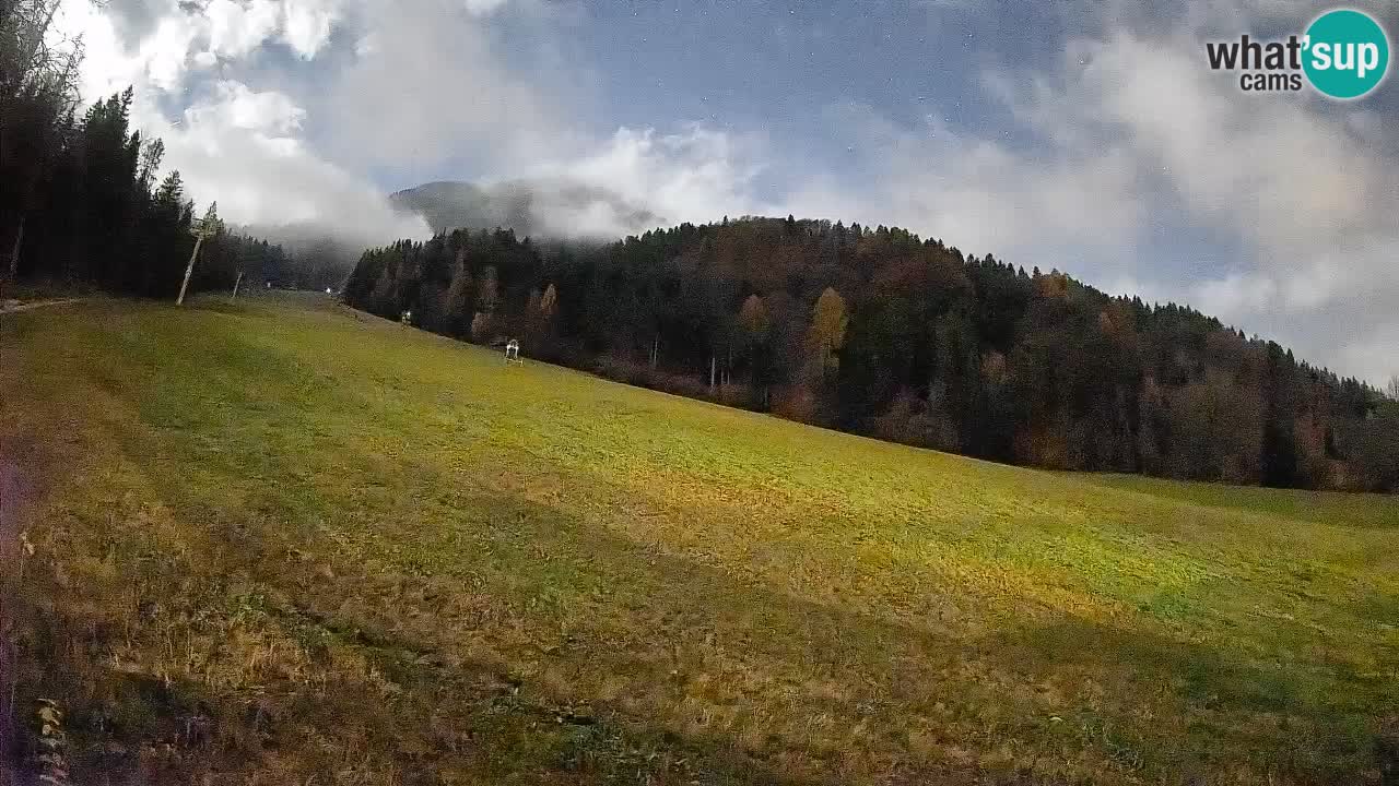 Esquí Kranjska Gora | Brsnina