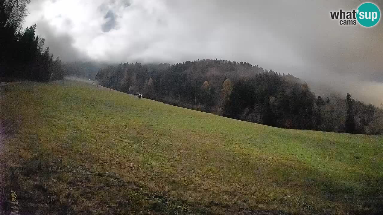 Ski Kranjska Gora | Brsnina