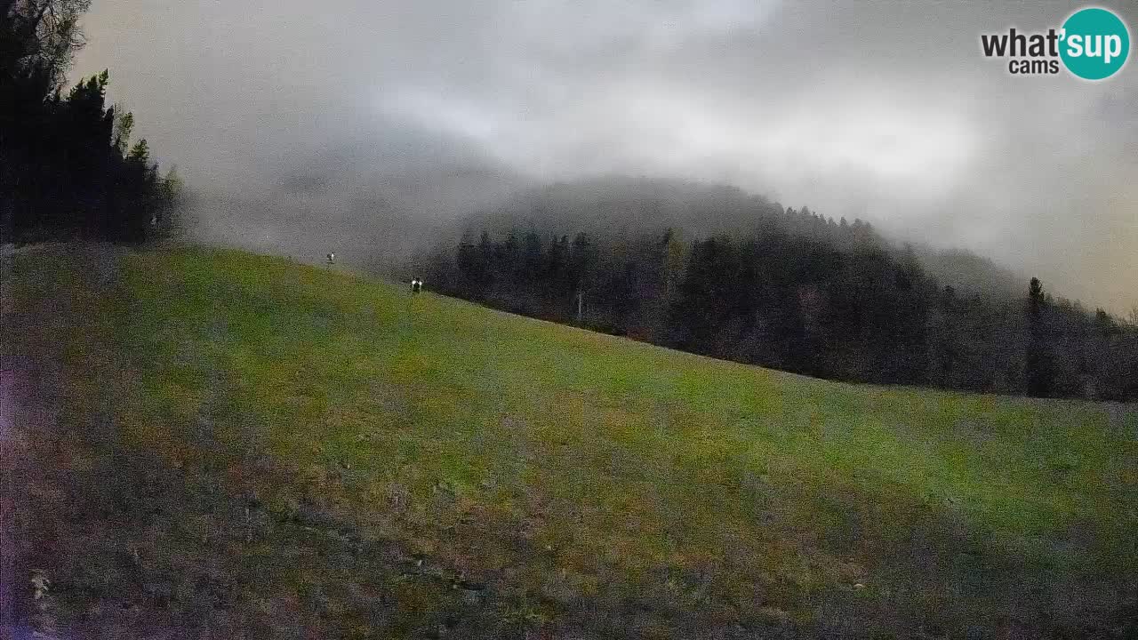 Esquí Kranjska Gora | Brsnina