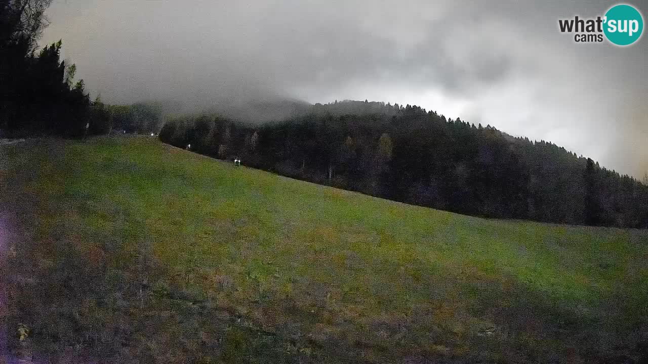 RTC Skigebiet Kranjska Gora | Brsnina