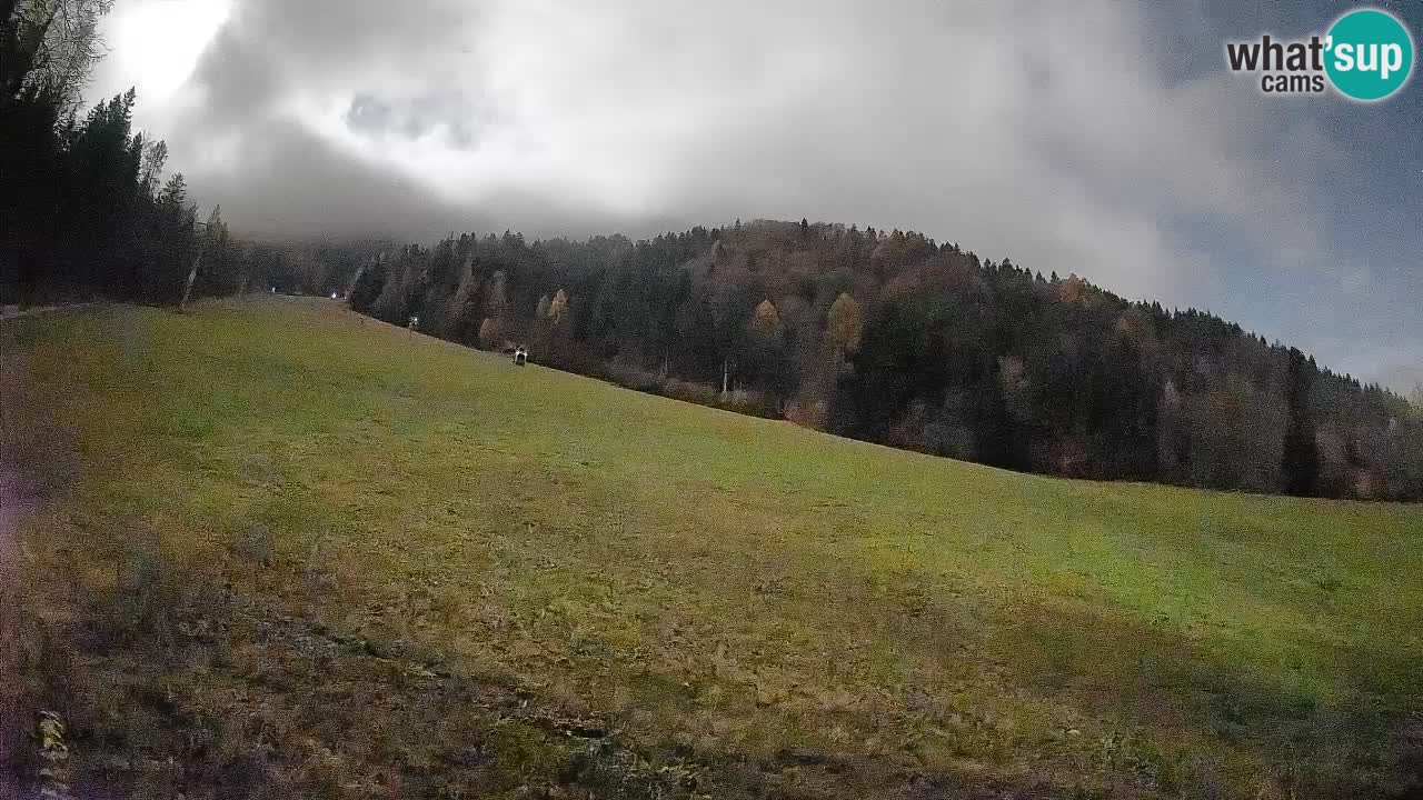 Comprensorio sciistico Kranjska Gora | Brsnina