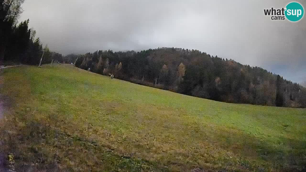 RTC Skigebiet Kranjska Gora | Brsnina