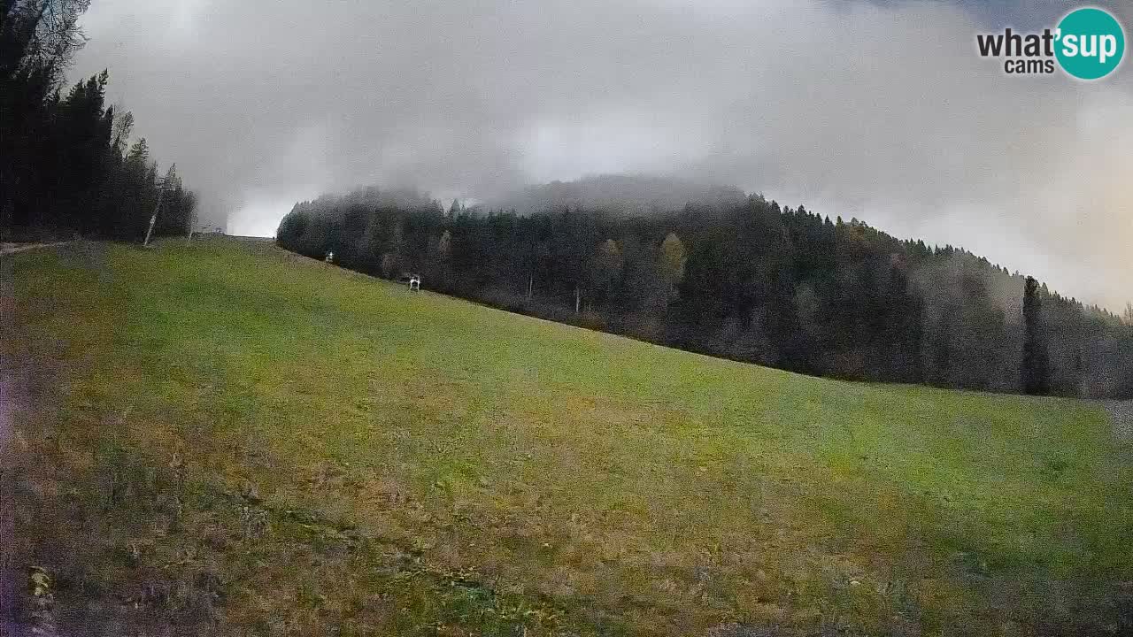 RTC Skigebiet Kranjska Gora | Brsnina