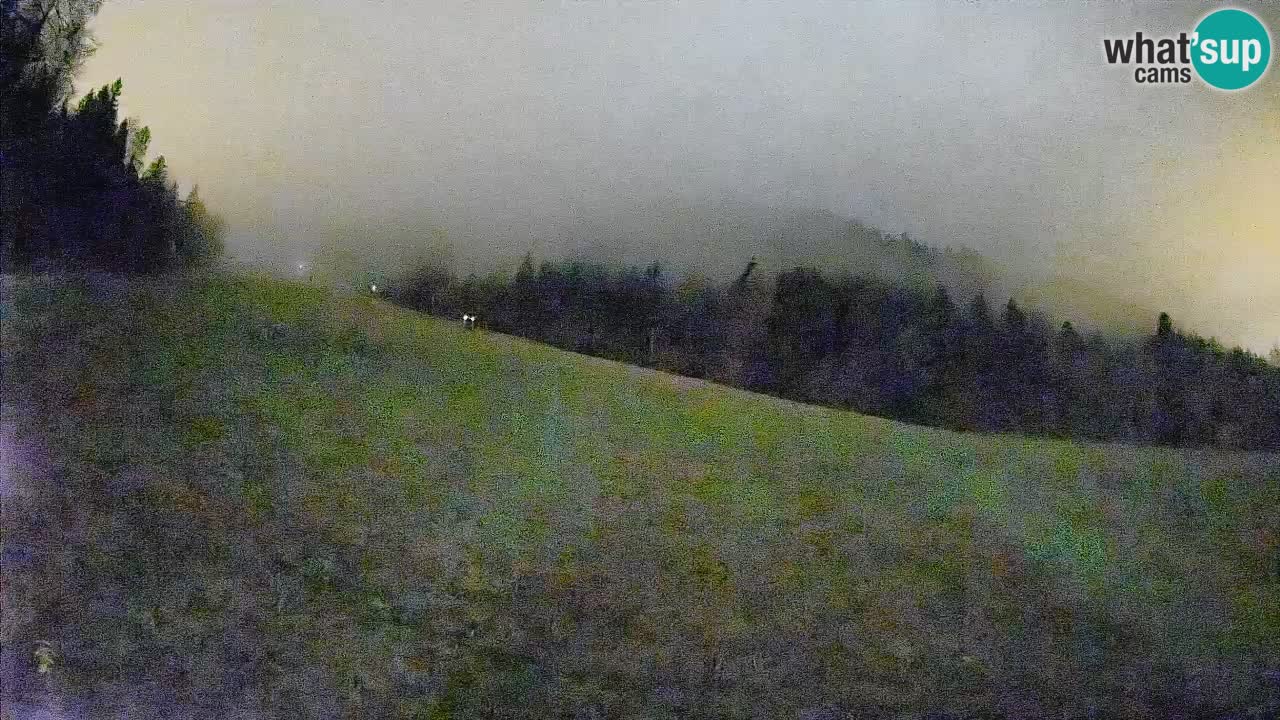 Ski Kranjska Gora | Brsnina