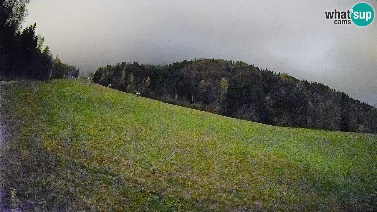 Comprensorio sciistico Kranjska Gora | Brsnina