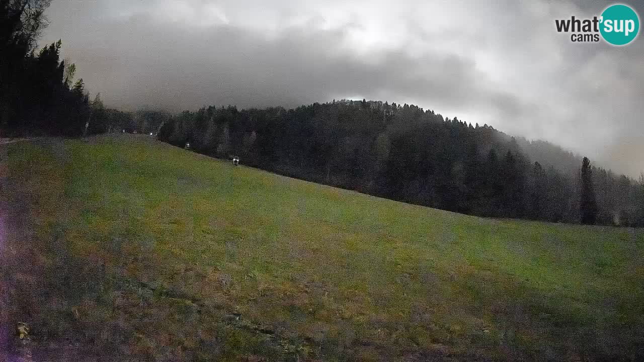 RTC Skigebiet Kranjska Gora | Brsnina