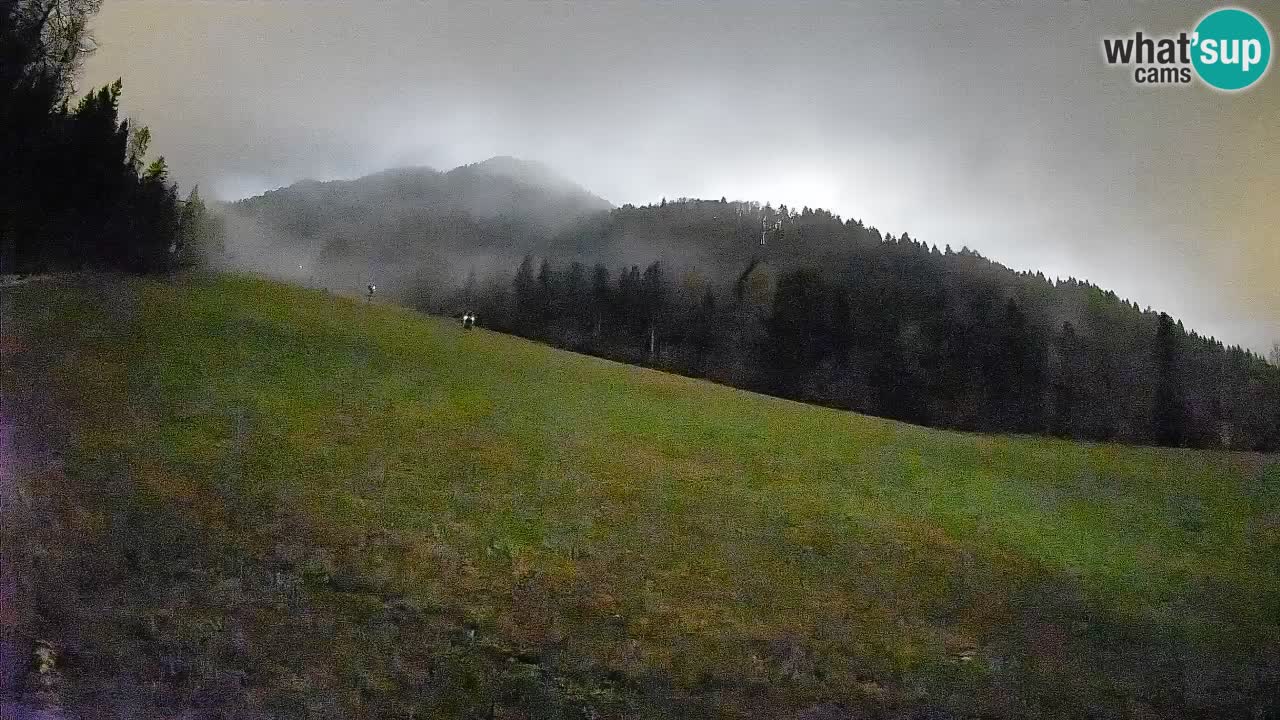 Ski Kranjska Gora | Brsnina