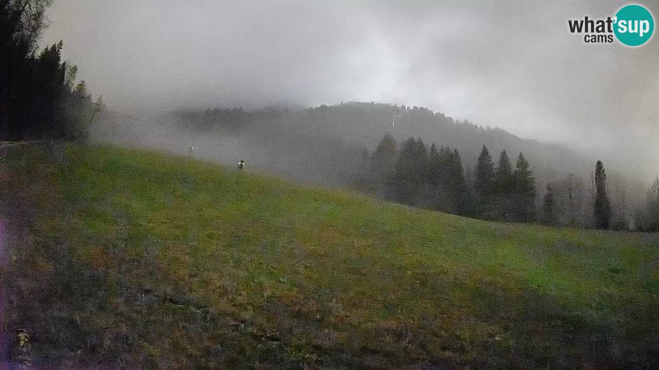 Kranjska Gora Station de ski | Brsnina