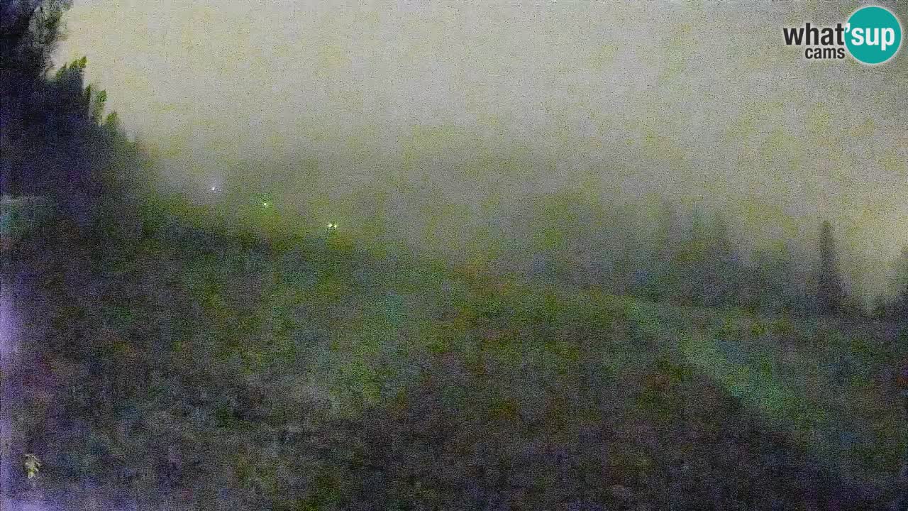 Esquí Kranjska Gora | Brsnina