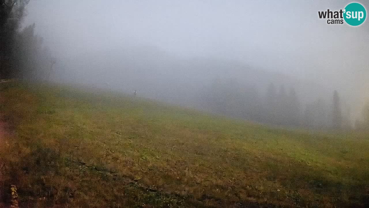 Ski Kranjska Gora | Brsnina