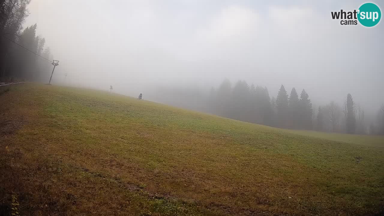 Comprensorio sciistico Kranjska Gora | Brsnina